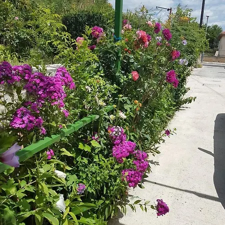 Oleander, Three-Bedroom Apartment In Trogir