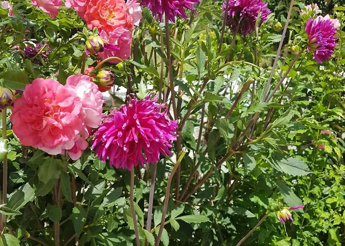 Apartament Oleander, Three-Bedroom Apartment In Trogir